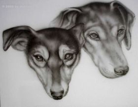 image1.jpg